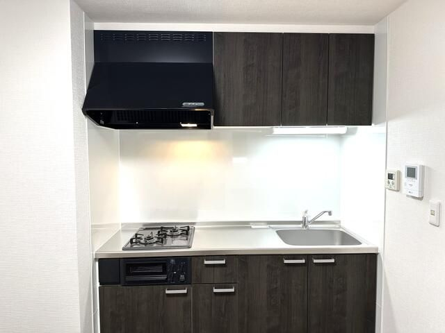 ドエル早崎のキッチン