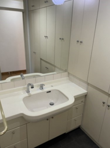 Platinum　Courtの独立洗面台