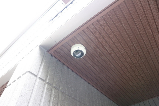 シュヴァルブランのセキュリティ