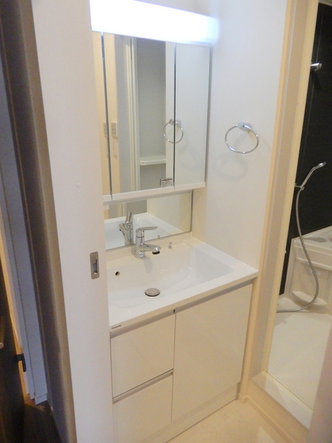 シュヴァルブランの洗面所|鏡裏収納あり