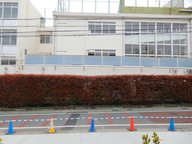 シュヴァルブランの展望|開放感のある景色