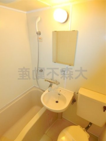 ヴィッツアーク大森Ⅱの浴室