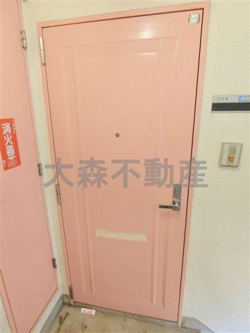 ヴィッツアーク大森Ⅱの玄関