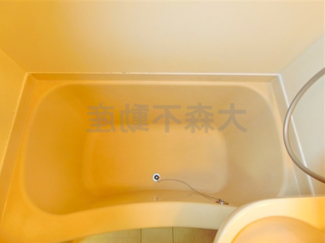 ヴィッツアーク大森Ⅱの浴室