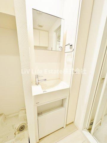 ビバリーホームズ田無Ⅲの洗面所