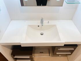 グローリオ三軒茶屋の独立洗面台