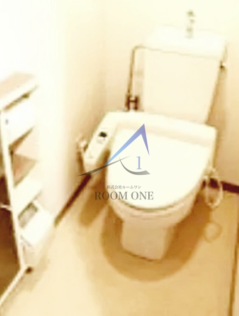 ロイヤルパレス大塚駅前のトイレ|トイレです。