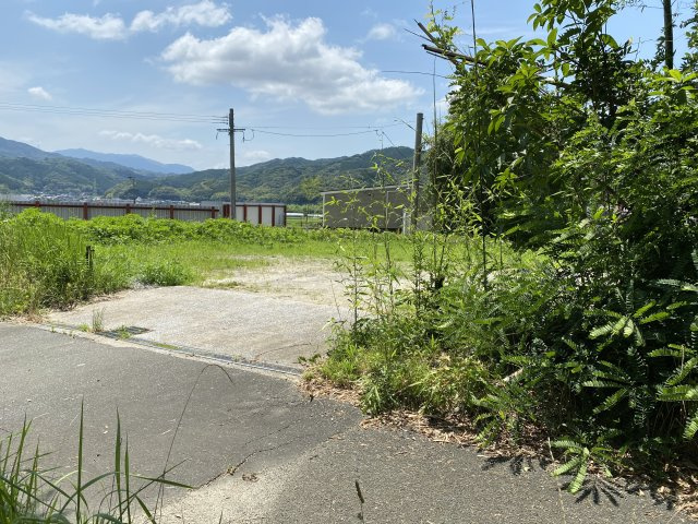  | 山田井上貸地 | 現況優先