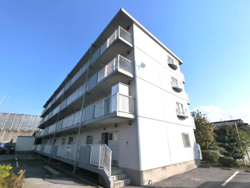 ルミエール若葉の画像