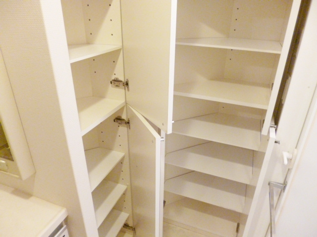 ルピナス王子駅前の収納|洗面所の収納設備です☆
