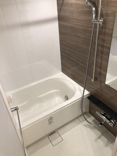 エストゥルース両国Ⅱの浴室