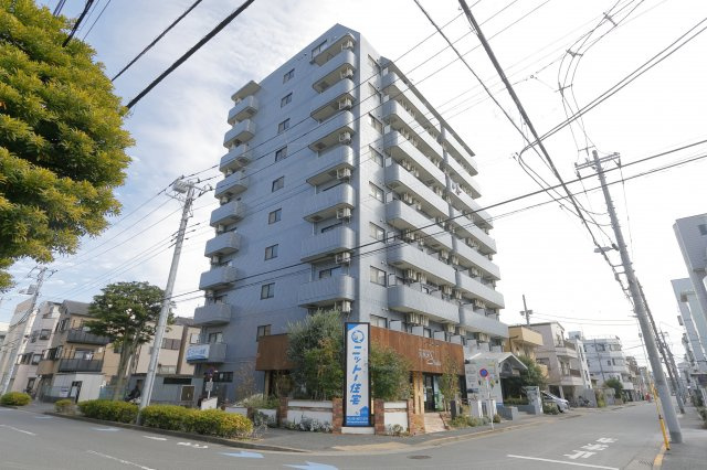 スカイクレスト 