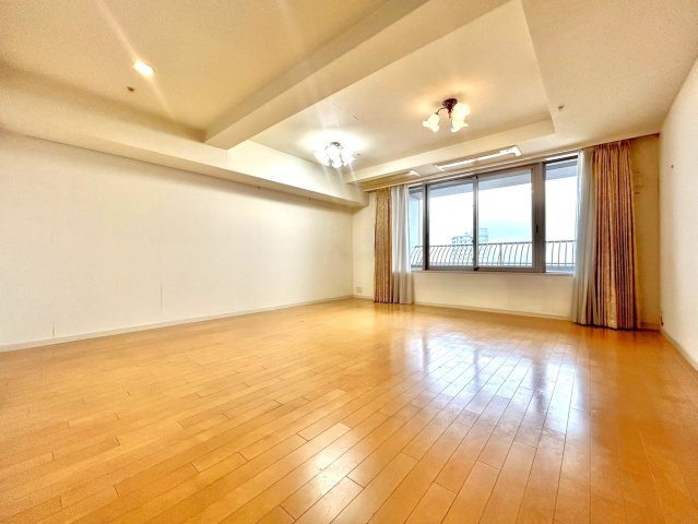 石神井公園ピアレスＡ棟　西武池袋線　石神井公園の居間・リビング