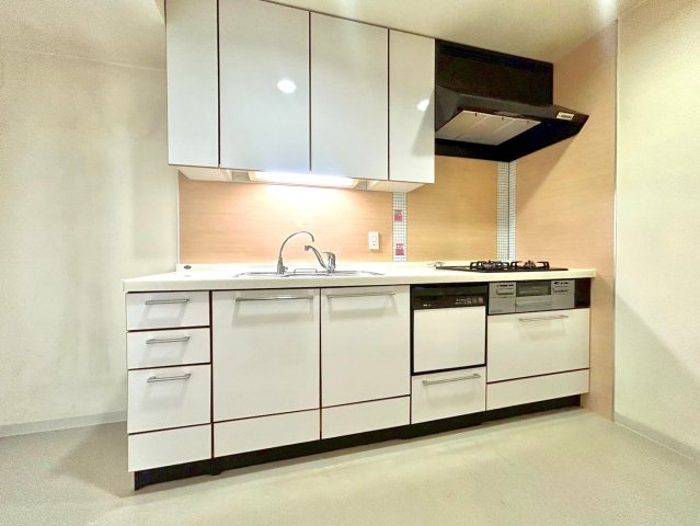 石神井公園ピアレスＡ棟　西武池袋線　石神井公園のキッチン|効率的なデザインが調理を楽しさに変えます。家庭の味を愛情込めて創り出す素敵な場所。