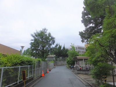 【周辺】 | エステムコート吹田片山公園フローラ | 前面道路