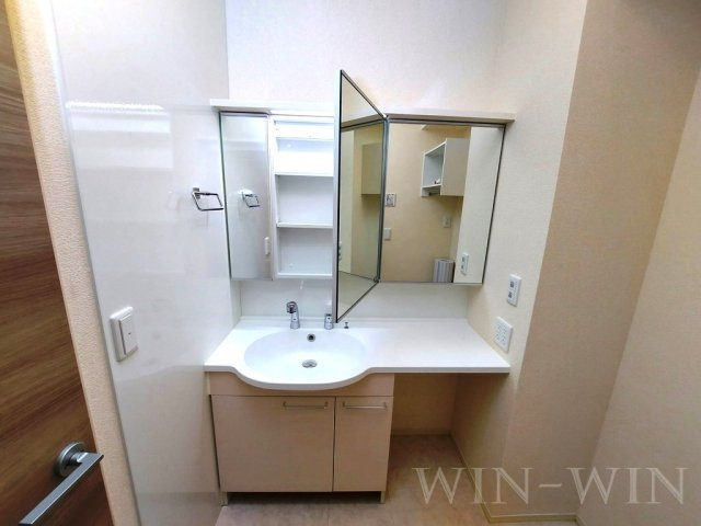 ティー.アイビー Aの独立洗面台