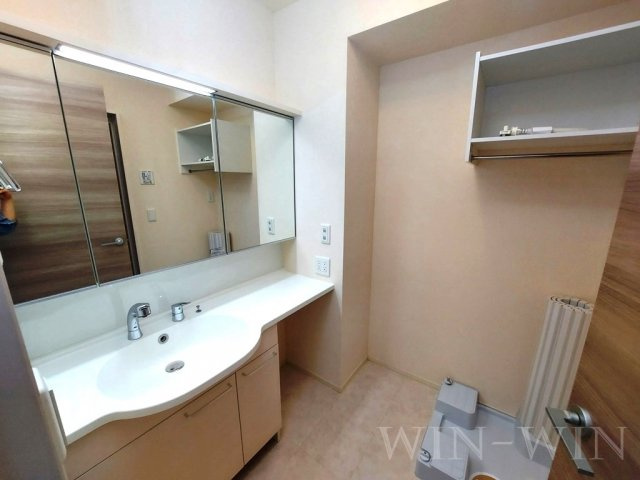 ティー.アイビー Aの独立洗面台