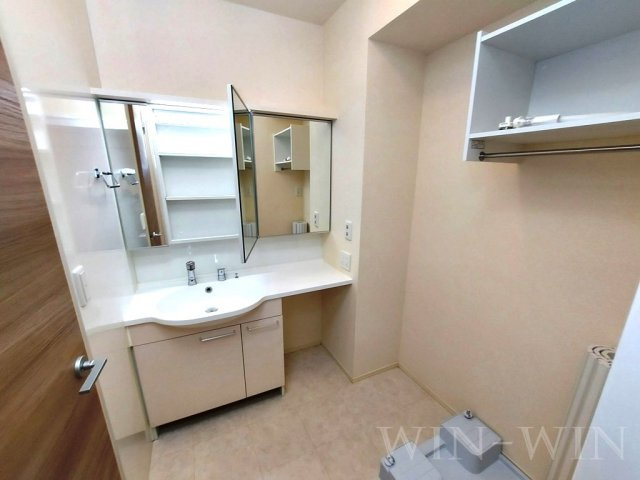 ティー.アイビー Aの洗面所