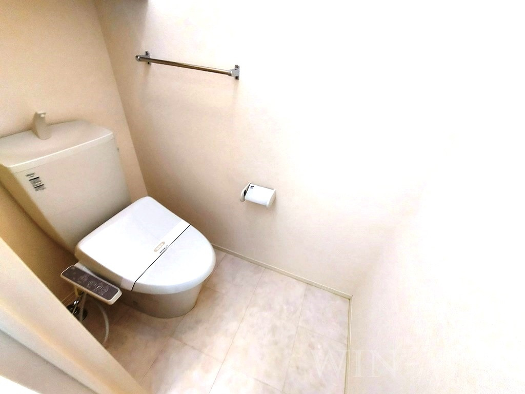 ティー.アイビー Aのトイレ