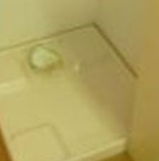 【設備】 | メゾン新江古田 | 洗濯機置き場(同一仕様写真)