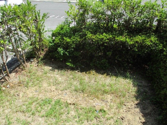 セジュール大善寺 B棟の庭|お庭でゆったりと過ごせます