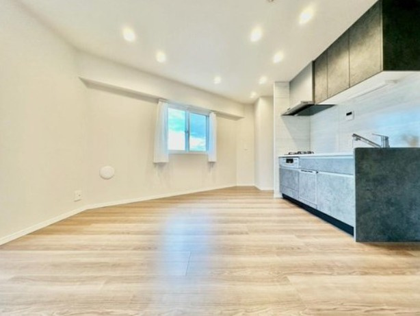 【居間・リビング】 | レガリアスパシエ目白 | 居心地のいい暮らしには欠かせない眩い採光。ゆったりとした幅の窓からこの空間に降り注ぐ採光が絶えません。