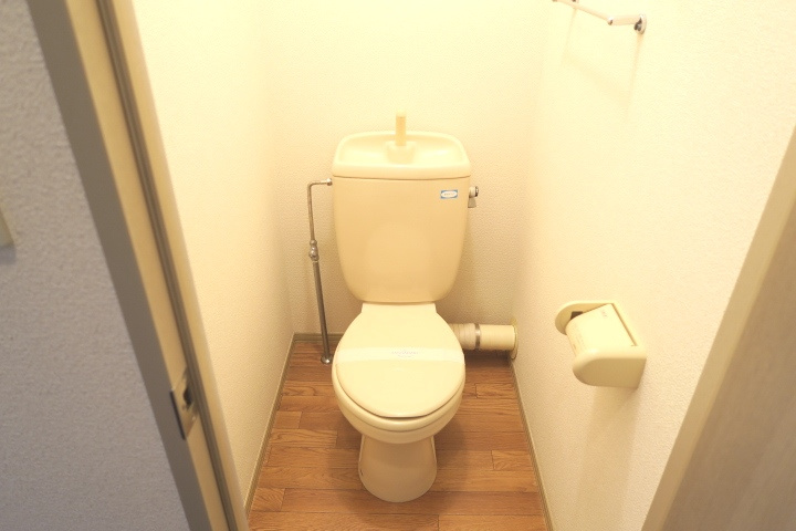 CLIO COURT 21のトイレ|別号室の参考写真です。