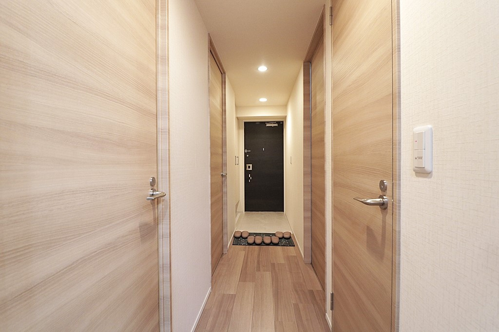 ザ・レジデンス東三国の玄関|内から玄関に向かって撮影した写真です。