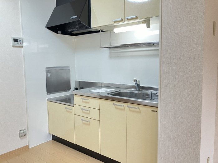 菊池郡菊陽町大字原水のアパートのキッチン