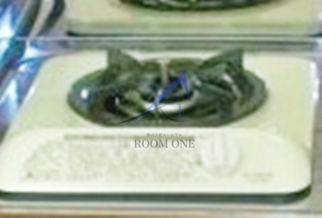 シエスタ永和Ⅰのその他