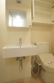 エスティメゾン板橋Ｃ６の洗面所