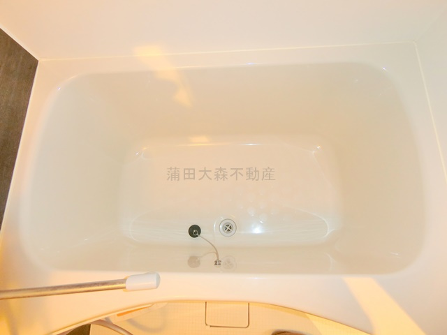 アピチェ田園調布の浴室