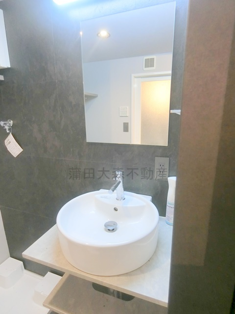 アピチェ田園調布の洗面所