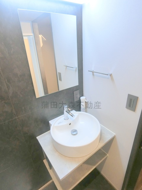 アピチェ田園調布の洗面所