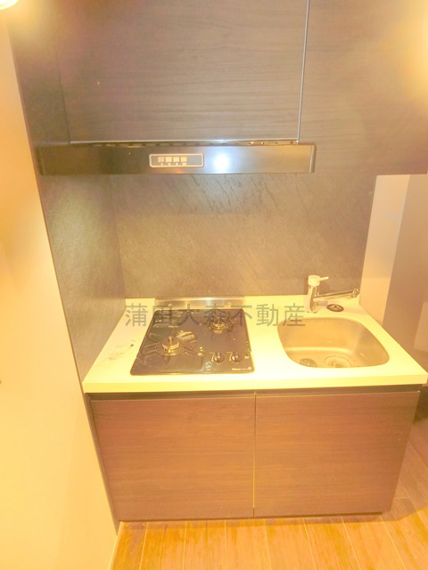 アピチェ田園調布のキッチン|２口ガスシステムキッチン