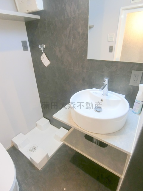 アピチェ田園調布の洗面所|洗面脱衣所　独立洗面台　室内洗濯機置き場