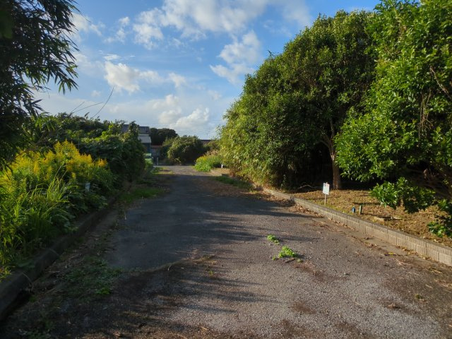 【前面道路含む現地写真】 | 九十九里町粟生　土地