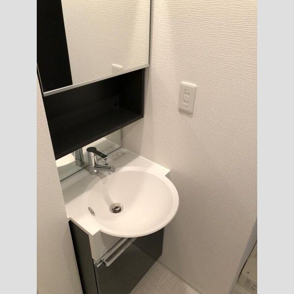 スワンズシティ中之島クロスの洗面所