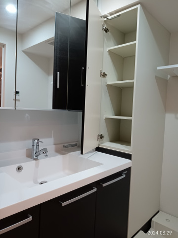 ポレスター平和大通りプレミアムレジデンスの洗面所