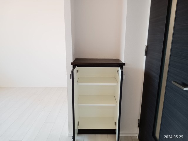 ポレスター平和大通りプレミアムレジデンスの収納