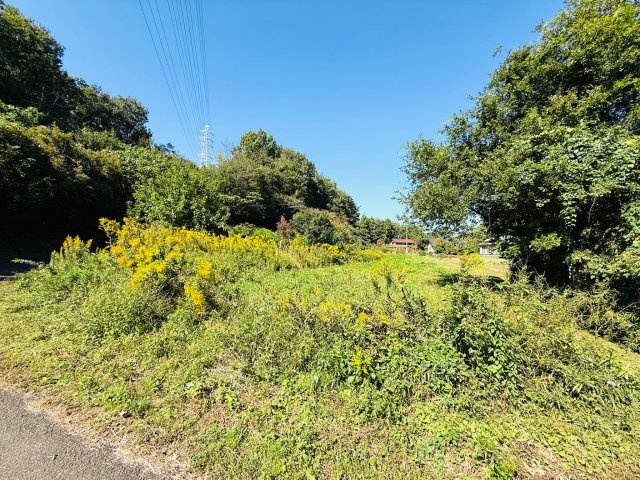 東松山市葛袋　中古戸建のその他|畑部分