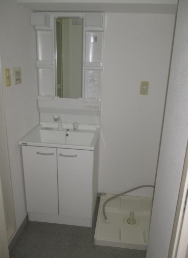 テリア呉本通2007の洗面所