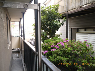 【展望】 | 1階から眺める風景も穏やかです！