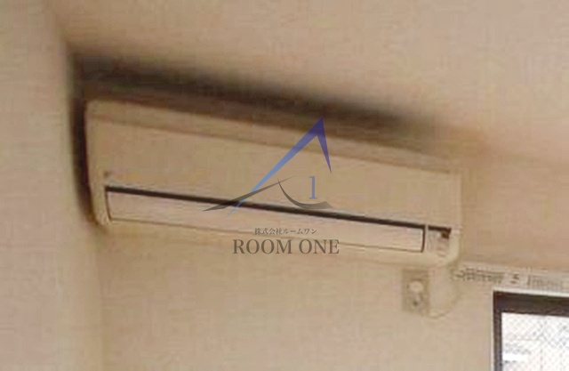 シエデイグローブのその他