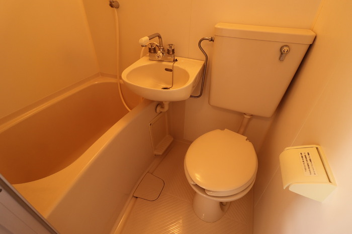 ドミトリー中浦和のトイレ