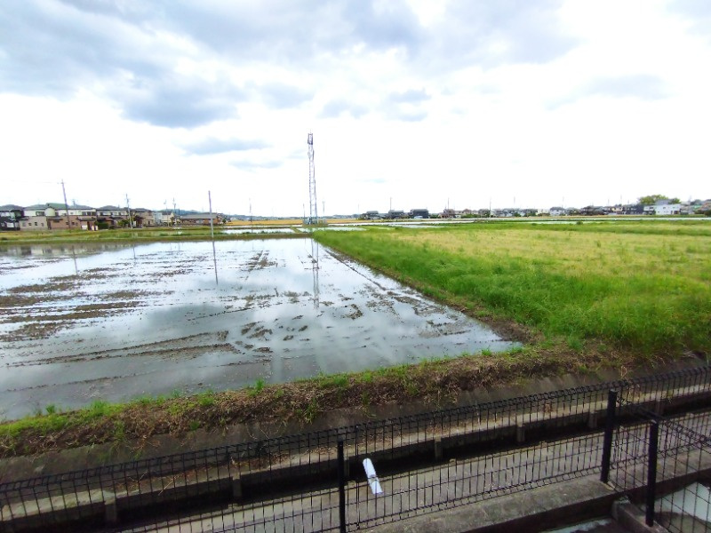 Ｈｅｒｍａｎａの展望