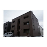 コスモルラシオンの画像