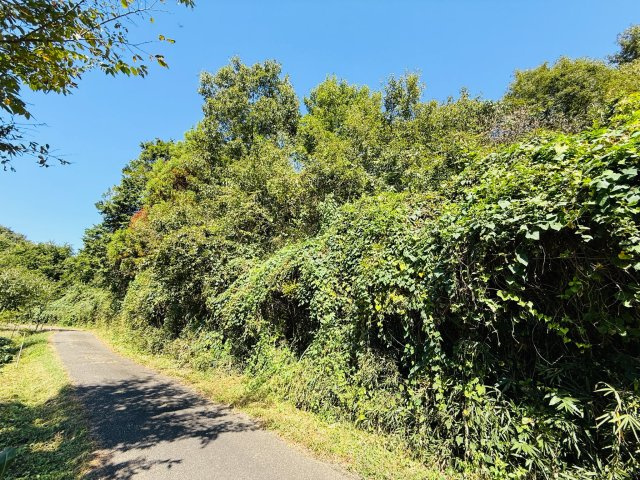 東松山市葛袋　土地957坪の外観