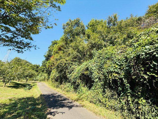 東松山市葛袋　土地957坪の外観