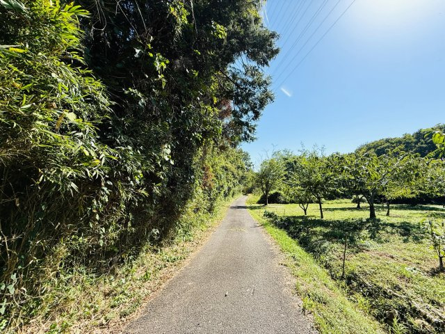東松山市葛袋　土地957坪の前面道路含む現地写真|南側約1.8ｍ公道に約45ｍ接道